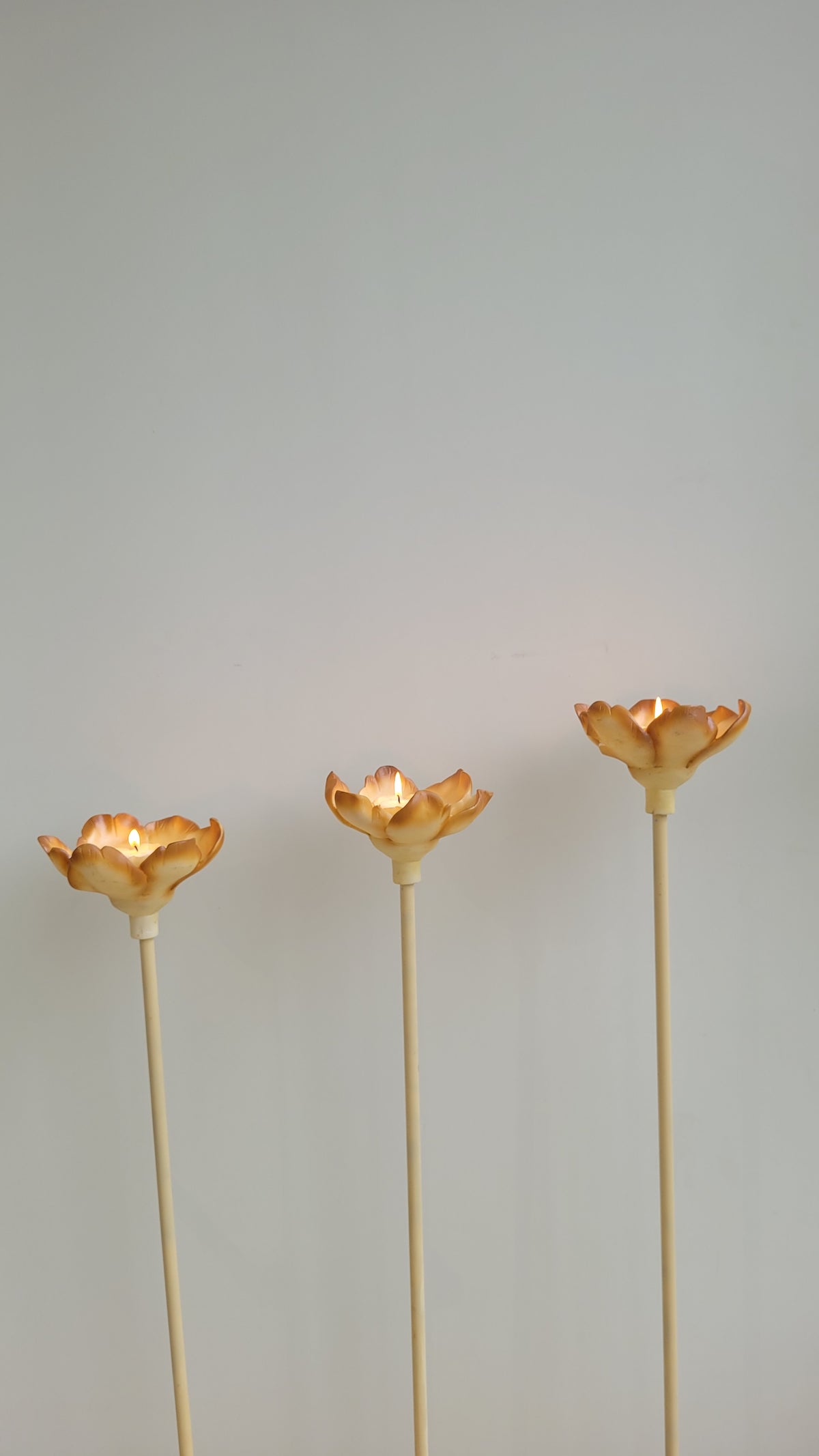Decked-up Perched Tealight(M)